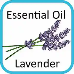 Icon Contains Essential Oils Lavender