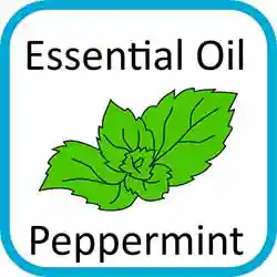 Icon Contains Essential Oils Peppermint