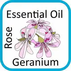 Icon Contains Essential Oils Rose Geranium