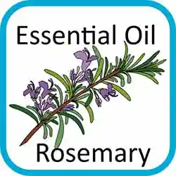 Icon Contains Essential Oils Rosemary