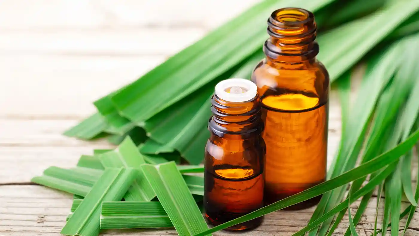 Lemongrass surrounding amber glass bottles