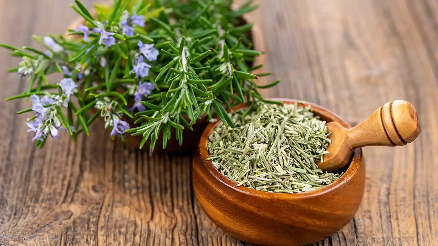 Rosemary twigs with flowers next to mortar and pestle with dreid rosemary