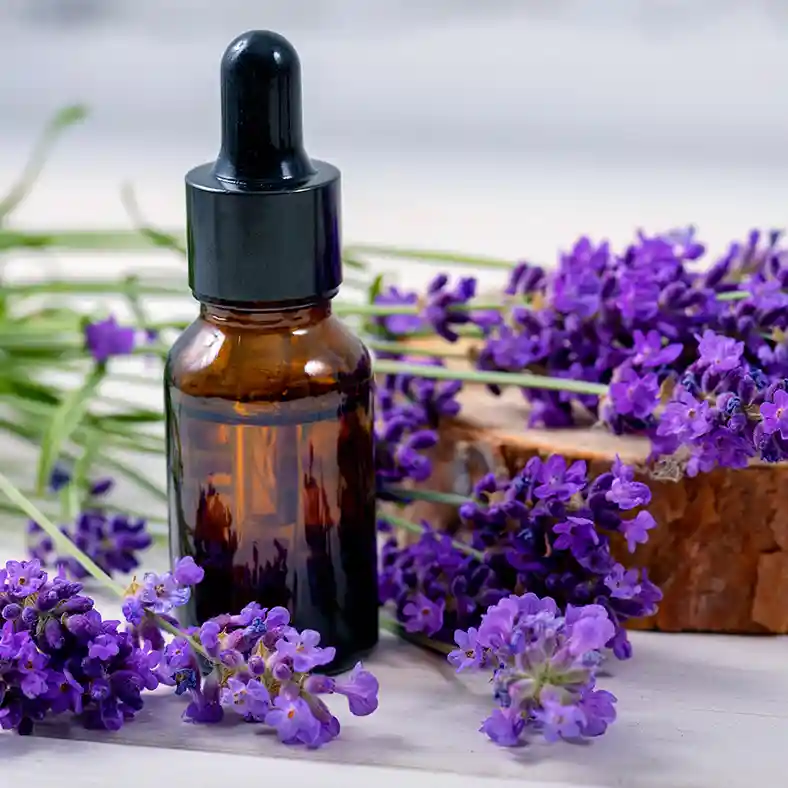 Spanish Lavender around amber bottle next to wood