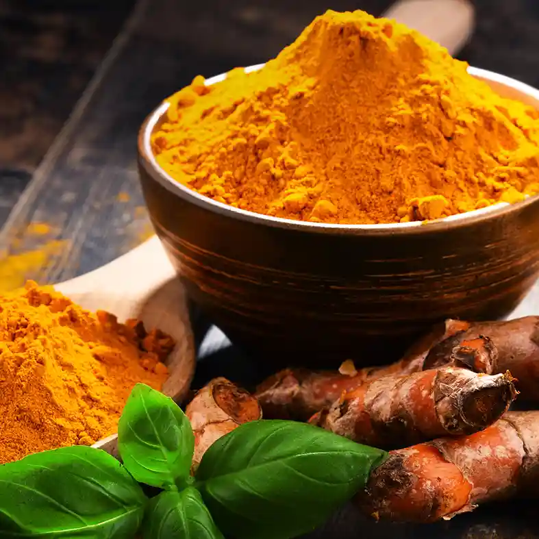 Turmeric root in front of ceramic bowl of turmeric spice